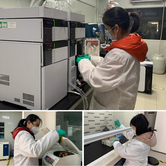 疫情就是命令 防控就是责任 | 开云技术支撑疫情防控狙击战