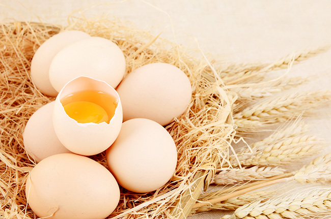 鸡蛋检测：氟苯尼考、恩诺沙星等兽药残留的解读_开云