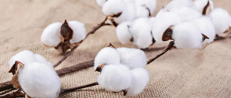 开云纺织品检测服务，与您共同致力国货质量提升。